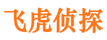 汉源市调查公司